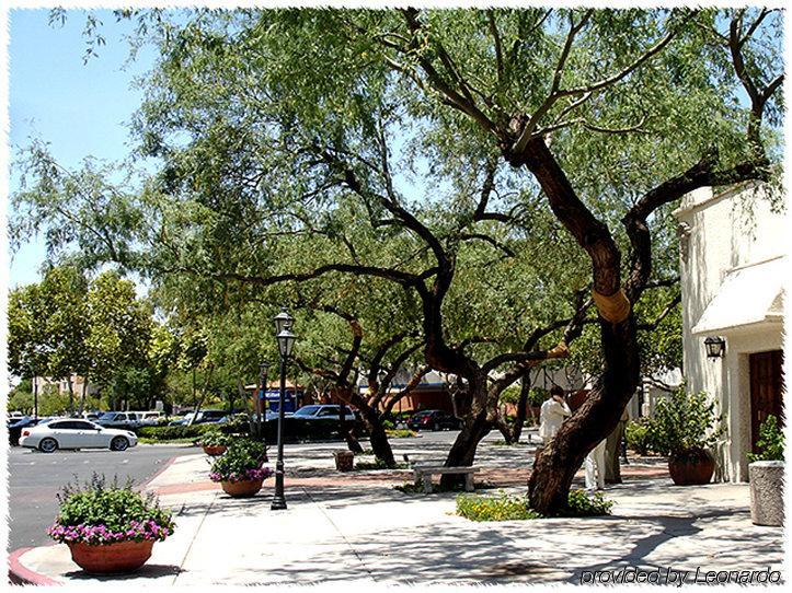 Homewood Suites Tucson St. Philip'S Plaza University Exterior foto